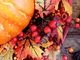 Anche nel torinese torna l'appuntamento con il Garden Festival d'Autunno