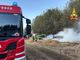 Rosta, vanno a fuoco le rotoballe di un campo: intervengono i vigili del fuoco