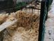 Maltempo, esonda il torrente Chiamogna a Bricherasio