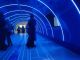 Inaugurata la mostra “I Love IT – Nel segno del design” (fotogallery)