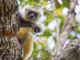 Copyright Filippo Carugati