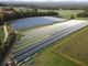 Hai un terreno agricolo e vuoi farlo rendere?