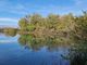 A Torino apre al pubblico una nuova oasi naturalistica: il lago di Villaretto