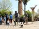 Sabato 23 e 24 giugno bambini gratis al bioparco ZOOM