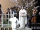 Madama Butterfly in scena al Teatro Regio Madama Butterfly in scena al Teatro Regio