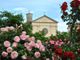 Giaveno, il 20 maggio torna &quot;Maggionatura&quot;