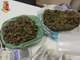 Marijuana