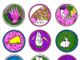 PolisGraphics, le vuove arti applicate “impegnate”
