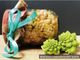 MercoledìVeg di Ortofruit: oggi prepariamo il broccolo romanesco sott’aceto
