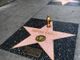 La bottiglia di Molecola ispirata a Sofia Loren e Giorgio Armani premiata a Los Angeles