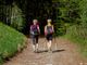 Test, convegni e una camminata al Parco della Mandria per combattere il diabete