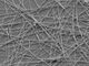 nanoarchitetture neurali
