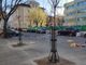 Nuovi alberi nei mercati di corso Svizzera e piazza Barcellona