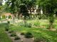 Gli eventi in programma a febbraio all'Orto Botanico di Torino