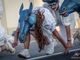 Puppet di carta pesta in sfilata a Venaria e Torino per aprire il Festival Incanti