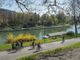 L'iniziativa dell'Associazione weTree lunedì prossimo al parco del Valentino