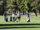 Domani al Circolo Golf della Mandria seconda edizione della “ProAm Paideia”