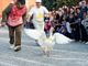 &quot;Fiere, sagre, corse con animali: eventi storici o maltrattamento?&quot;