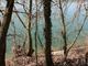 il luogo della caduta al parco del Meisino