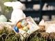 Pasqua e partite, a Torino alberghi occupati al 90% fino a martedì prossimo