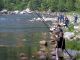 Il futuro getta l'amo: dalla Regione 1,5 milioni di euro per la pesca e acquacoltura in Piemonte