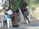 Schiave del sesso, dalla Nigeria a Torino su carri bestiame e nel deserto: sgominata una banda che trafficava in esseri umani