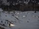 Running Sunset Snow: a Pian Munè di Paesana torna la suggestiva corsa in notturna sulla neve