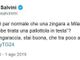 Il tweet di Salvini