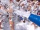 Bardonecchia, mercoledì 22 grande schiuma party gratuito