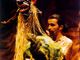 &quot;Il Sogno di Tartaruga&quot;, una fiaba africana