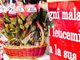 Una “Stella di Natale” per aiutare la ricerca dell’Associazione italiana contro le leucemie-linfomi e mieloma