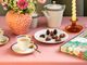 I cioccolatini della linea Streglio