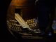 Moncalieri, la grande musica d'organo protagonista all'Arciconfraternita Santa Croce