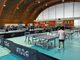 partita di ping pong