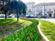 Per la Primavera Chieri si riempie dei colori di 4.500 tulipani
