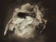 Al Sony World Photography Awards menzione speciale alla torinese Ylenia Viola