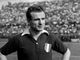 A Nichelino nasce il giardino Valentino Mazzola