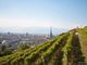 Vino e Covid: a Torino la vendemmia si fa sul web, rimandando le degustazioni a tempi migliori