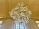 Da Ai Wei Wei a Vanessa Beecroft: la preziosa arte del vetro in mostra alla Reggia di Venaria e al Castello della Mandria