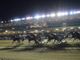 Ippodromo di Vinovo, il 4 agosto 88 cavalli al via: saranno impegnati in 8 corse
