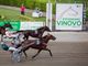 Vinovo, all'ippodromo arrivano le miss
