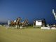 Doppio spettacolo all'Ippodromo di Vinovo: il 1° settembre, Gran Premio Marangoni open e Filly in notturna