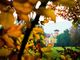 I colori dell'autunno sono pronti ad avvolgere domani il Castello di Miradolo