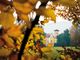 L'Italia è un giardino di Tiziano Fratus al Castello di Miradolo di San Secondo di Pinerolo