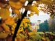 Parco di Miradolo: domenica inaugura l'attività autunnale