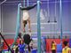 La Federazione Ginnastica d’Italia riconosce ufficialmente la disciplina dell’Acrobatica Aerea
