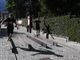 &quot;adotta un atleta&quot; a bardonecchia