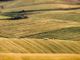 Coldiretti: &quot;L’agricoltura Made in Piemonte attrae sempre più giovani&quot;
