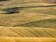 Coldiretti Piemonte: necessaria l'approvazione del decreto sul commercio interno del riso