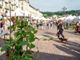 Domenica in piazza Vittorio ultimo appuntamento del 2024 con Agriflor